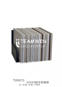 TWW13